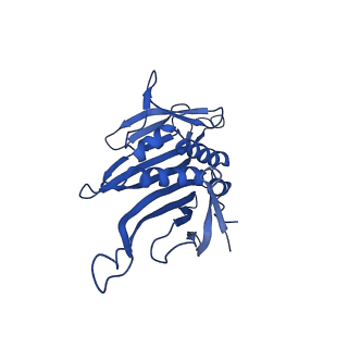 0344_6n4v_WC_v1-2
CryoEM structure of Leviviridae PP7 WT coat protein dimer capsid (PP7PP7-WT)