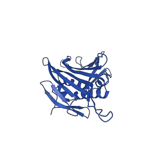 0344_6n4v_XA_v1-2
CryoEM structure of Leviviridae PP7 WT coat protein dimer capsid (PP7PP7-WT)