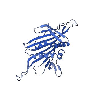 0344_6n4v_XB_v1-2
CryoEM structure of Leviviridae PP7 WT coat protein dimer capsid (PP7PP7-WT)
