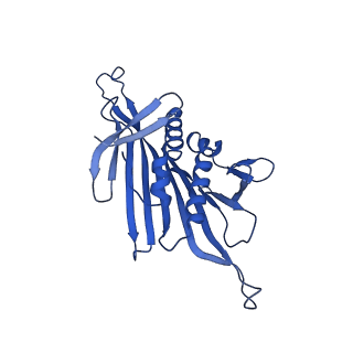 0344_6n4v_XC_v1-2
CryoEM structure of Leviviridae PP7 WT coat protein dimer capsid (PP7PP7-WT)