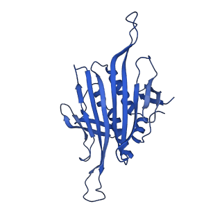 0344_6n4v_X_v1-2
CryoEM structure of Leviviridae PP7 WT coat protein dimer capsid (PP7PP7-WT)