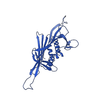0344_6n4v_YA_v1-2
CryoEM structure of Leviviridae PP7 WT coat protein dimer capsid (PP7PP7-WT)