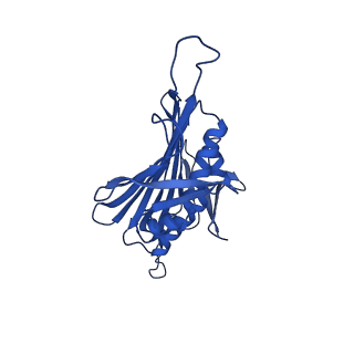 0344_6n4v_YB_v1-2
CryoEM structure of Leviviridae PP7 WT coat protein dimer capsid (PP7PP7-WT)