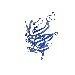 0344_6n4v_YC_v1-2
CryoEM structure of Leviviridae PP7 WT coat protein dimer capsid (PP7PP7-WT)