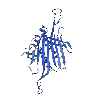 0344_6n4v_Y_v1-2
CryoEM structure of Leviviridae PP7 WT coat protein dimer capsid (PP7PP7-WT)