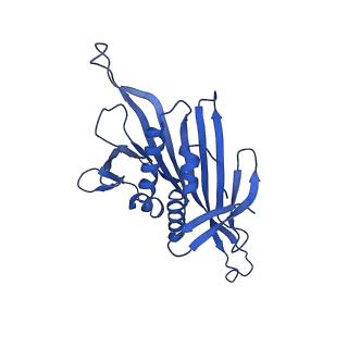 0344_6n4v_ZC_v1-2
CryoEM structure of Leviviridae PP7 WT coat protein dimer capsid (PP7PP7-WT)