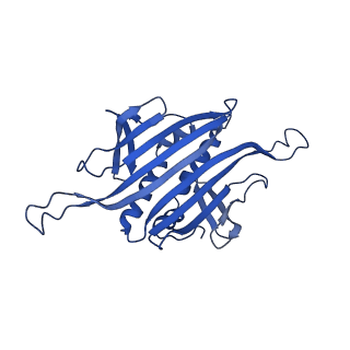 0344_6n4v_Z_v1-2
CryoEM structure of Leviviridae PP7 WT coat protein dimer capsid (PP7PP7-WT)
