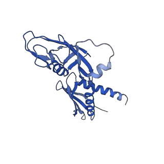 24148_7n4e_A_v1-0
Escherichia coli sigma 70-dependent paused transcription elongation complex