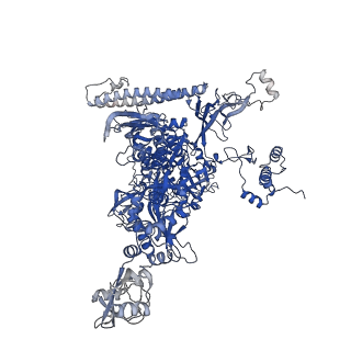 24148_7n4e_C_v1-0
Escherichia coli sigma 70-dependent paused transcription elongation complex