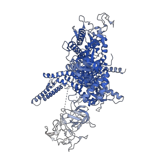 24148_7n4e_D_v1-0
Escherichia coli sigma 70-dependent paused transcription elongation complex