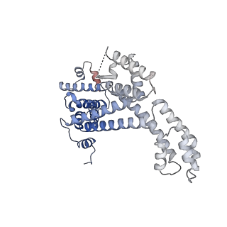 24148_7n4e_F_v1-0
Escherichia coli sigma 70-dependent paused transcription elongation complex
