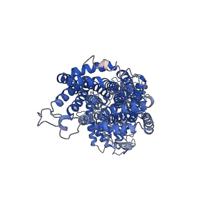 24179_7n4v_A_v1-1
Structure of cholesterol-bound human NPC1L1