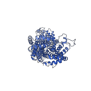 24179_7n4v_B_v1-1
Structure of cholesterol-bound human NPC1L1