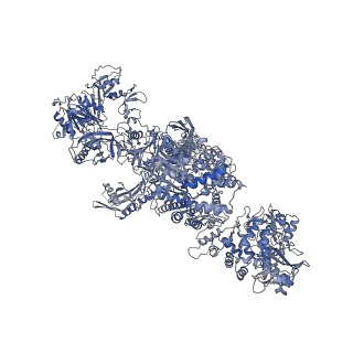 24181_7n4y_B_v1-1
The structure of bovine thyroglobulin with iodinated tyrosines