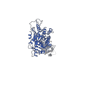 0345_6n51_A_v1-4
Metabotropic Glutamate Receptor 5 bound to L-quisqualate and Nb43