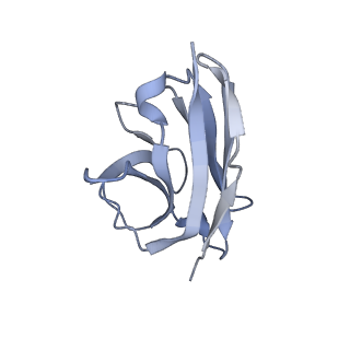 0345_6n51_C_v1-4
Metabotropic Glutamate Receptor 5 bound to L-quisqualate and Nb43