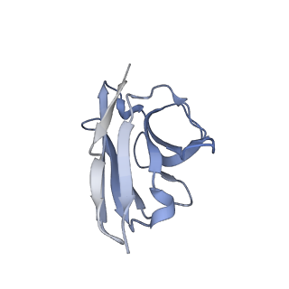 0345_6n51_D_v1-4
Metabotropic Glutamate Receptor 5 bound to L-quisqualate and Nb43
