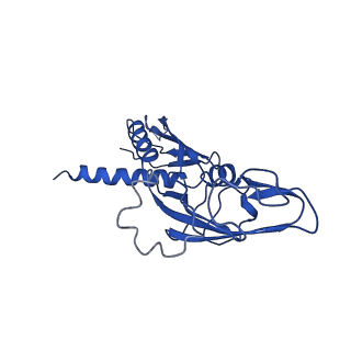 0348_6n57_G_v1-0
Cryo-EM structure of Escherichia coli RNAP polymerase bound with TraR in conformation I