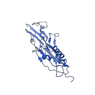 0348_6n57_H_v1-0
Cryo-EM structure of Escherichia coli RNAP polymerase bound with TraR in conformation I
