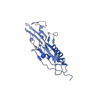 0348_6n57_H_v1-1
Cryo-EM structure of Escherichia coli RNAP polymerase bound with TraR in conformation I