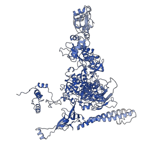 0348_6n57_I_v1-1
Cryo-EM structure of Escherichia coli RNAP polymerase bound with TraR in conformation I