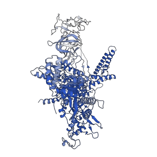 0348_6n57_J_v1-1
Cryo-EM structure of Escherichia coli RNAP polymerase bound with TraR in conformation I