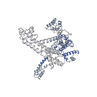 0348_6n57_L_v1-0
Cryo-EM structure of Escherichia coli RNAP polymerase bound with TraR in conformation I