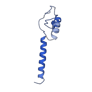 0348_6n57_M_v1-0
Cryo-EM structure of Escherichia coli RNAP polymerase bound with TraR in conformation I