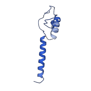 0348_6n57_M_v1-1
Cryo-EM structure of Escherichia coli RNAP polymerase bound with TraR in conformation I