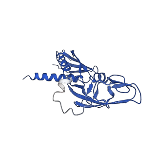 0349_6n58_G_v1-0
Cryo-EM structure of Escherichia coli RNAP polymerase bound with TraR in conformation II