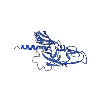 0349_6n58_G_v1-1
Cryo-EM structure of Escherichia coli RNAP polymerase bound with TraR in conformation II