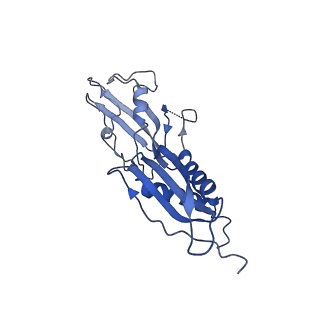 0349_6n58_H_v1-0
Cryo-EM structure of Escherichia coli RNAP polymerase bound with TraR in conformation II