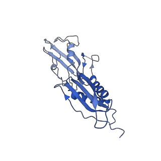 0349_6n58_H_v1-1
Cryo-EM structure of Escherichia coli RNAP polymerase bound with TraR in conformation II