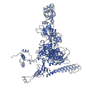 0349_6n58_I_v1-1
Cryo-EM structure of Escherichia coli RNAP polymerase bound with TraR in conformation II