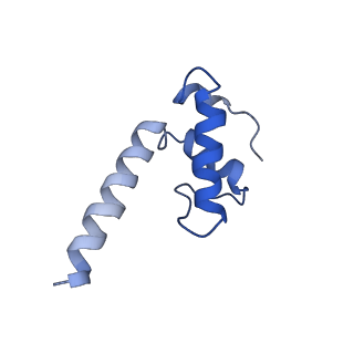 0349_6n58_K_v1-0
Cryo-EM structure of Escherichia coli RNAP polymerase bound with TraR in conformation II