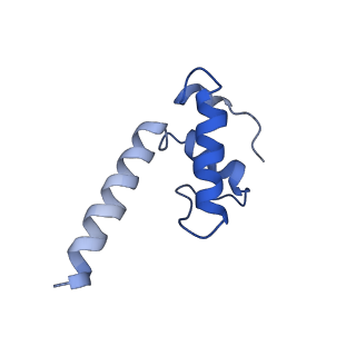 0349_6n58_K_v1-1
Cryo-EM structure of Escherichia coli RNAP polymerase bound with TraR in conformation II