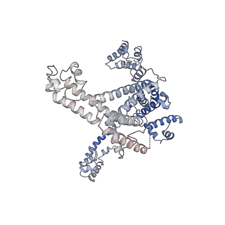 0349_6n58_L_v1-0
Cryo-EM structure of Escherichia coli RNAP polymerase bound with TraR in conformation II