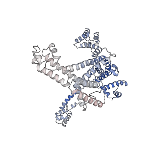 0349_6n58_L_v1-1
Cryo-EM structure of Escherichia coli RNAP polymerase bound with TraR in conformation II