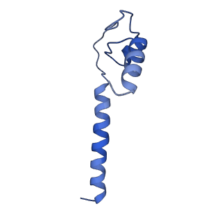 0349_6n58_M_v1-0
Cryo-EM structure of Escherichia coli RNAP polymerase bound with TraR in conformation II