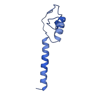 0349_6n58_M_v1-1
Cryo-EM structure of Escherichia coli RNAP polymerase bound with TraR in conformation II