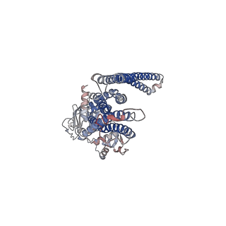 24182_7n58_B_v1-1
Structure of AtAtm3 in the inward-facing conformation