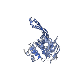 24183_7n59_A_v1-1
Structure of AtAtm3 in the inward-facing conformation with GSSG bound