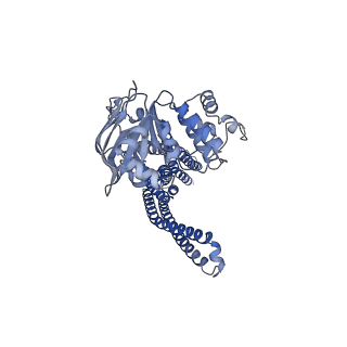 24183_7n59_B_v1-1
Structure of AtAtm3 in the inward-facing conformation with GSSG bound