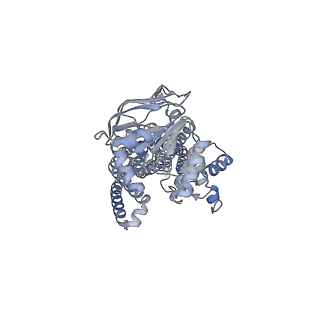 24184_7n5a_A_v1-1
Structure of AtAtm3 in the closed conformation