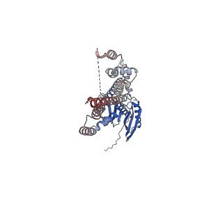 24186_7n5d_A_v1-1
Composite Structure of Mechanosensitive Ion Channel Flycatcher1 in GDN