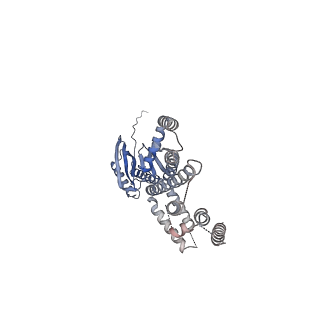 24186_7n5d_E_v1-1
Composite Structure of Mechanosensitive Ion Channel Flycatcher1 in GDN