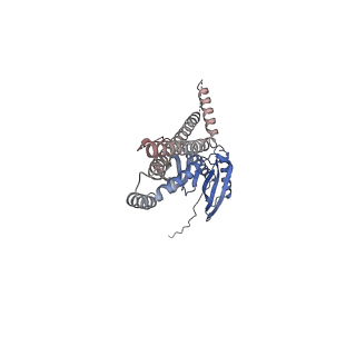 24187_7n5e_A_v1-1
Structure of Mechanosensitive Ion Channel Flycatcher1 in GDN
