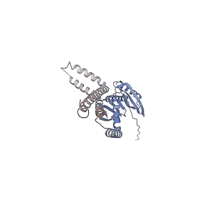 24187_7n5e_B_v1-1
Structure of Mechanosensitive Ion Channel Flycatcher1 in GDN