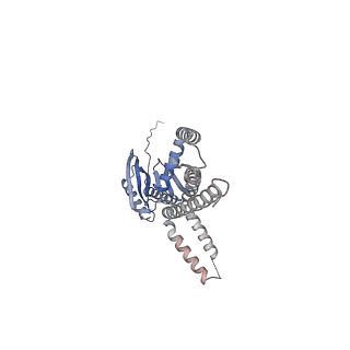 24187_7n5e_E_v1-1
Structure of Mechanosensitive Ion Channel Flycatcher1 in GDN
