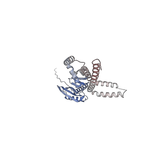 24187_7n5e_F_v1-1
Structure of Mechanosensitive Ion Channel Flycatcher1 in GDN
